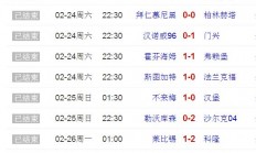 B体育体育官方-包含柏林赫塔主场大胜，稳固积分榜前列的词条