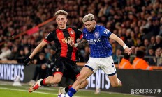 B体育体育官方登录入口-伯恩茅斯主场负于升班马，保级形势不妙的简单介绍