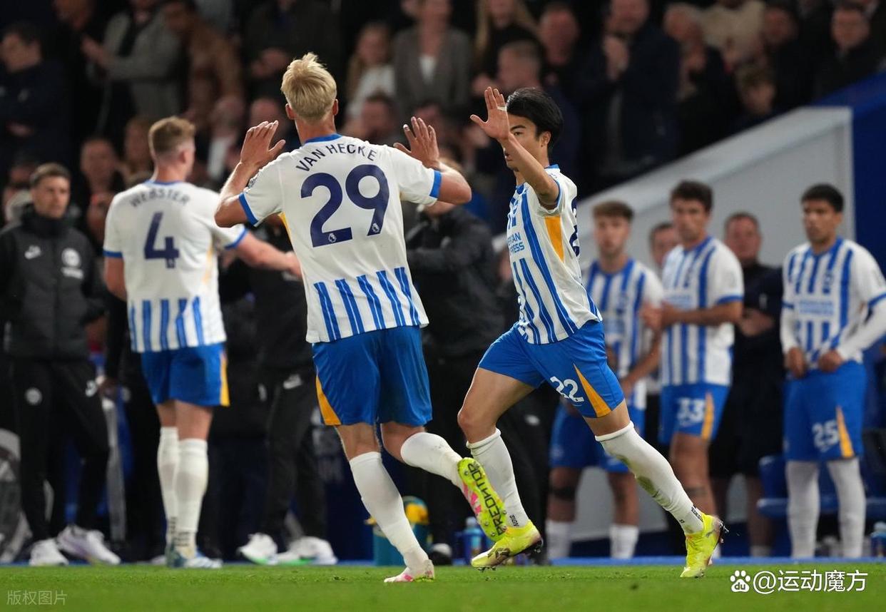 布莱顿主场不敌对手，战绩下滑